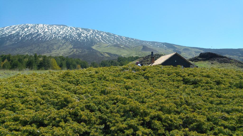 Etna Bike Holiday 제프라나에트니아 외부 사진