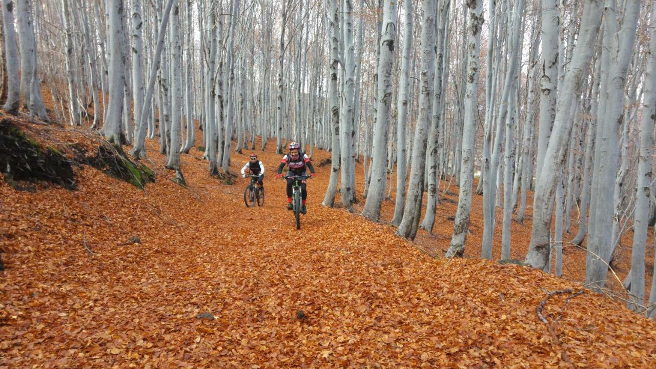 Etna Bike Holiday 제프라나에트니아 외부 사진