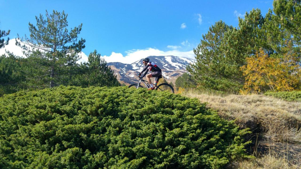 Etna Bike Holiday 제프라나에트니아 외부 사진
